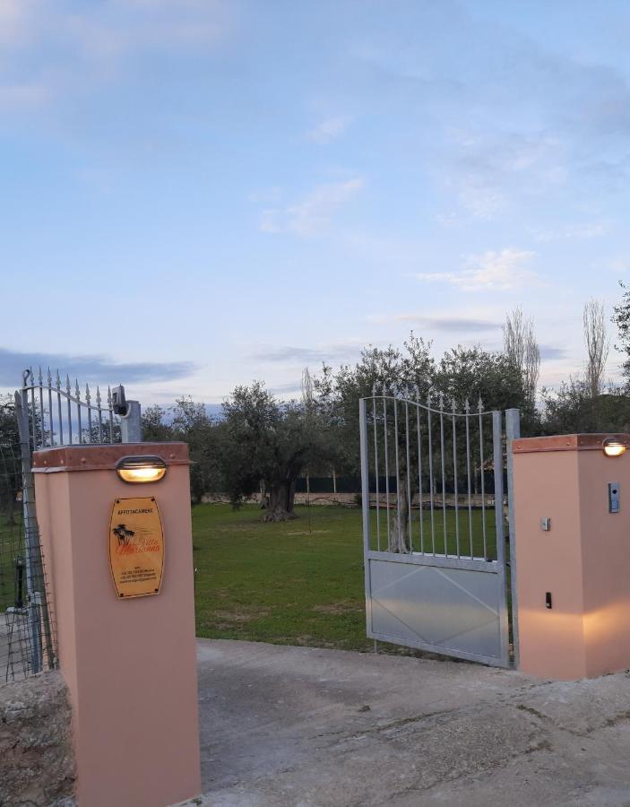 Villa Marianna アルゲーロ エクステリア 写真