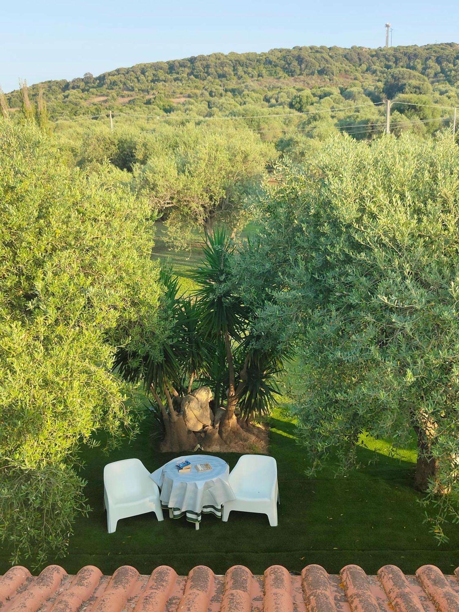 Villa Marianna アルゲーロ エクステリア 写真
