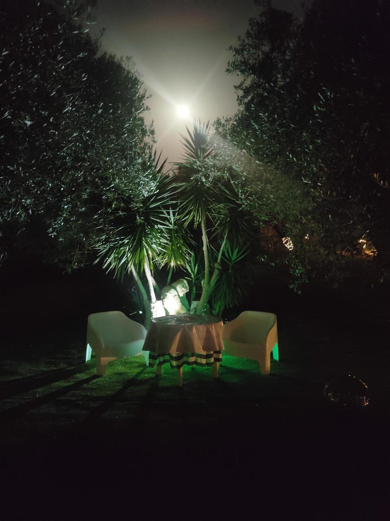 Villa Marianna アルゲーロ エクステリア 写真